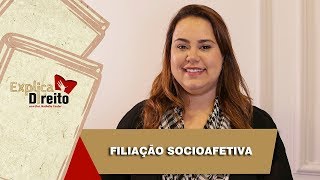 Explica Direito Filiação Socioafetiva  2019 [upl. by Beaudoin222]