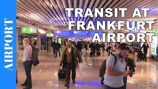 TRANSIT WALK AT FRANKFURT Airport FRA Terminal 1  Connection Flight Transfer Arriving amp Departing [upl. by Guenevere]